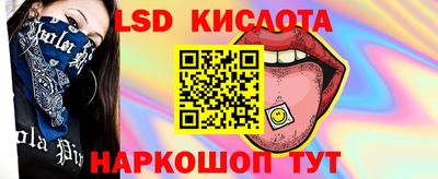 стафф Новодвинск