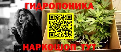 стафф Новодвинск